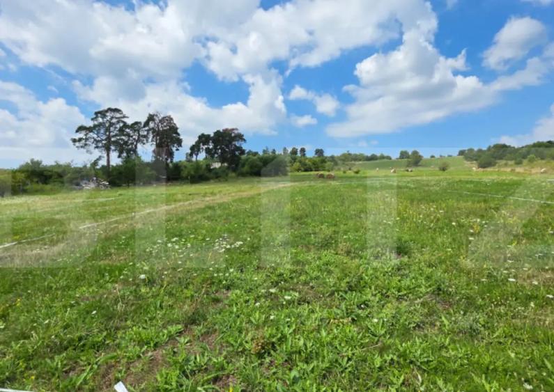 10.000 mp Potrivit pentru proiect reziden?ial sau par - 2