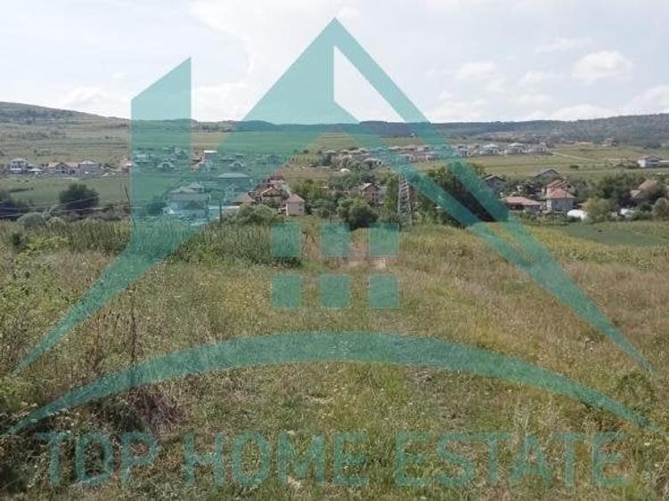 Oportunitate investiție! Teren extravilan &icirc;n Corușu! - 3