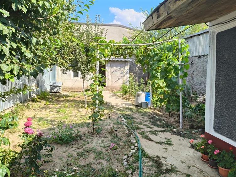 Casa 4 camere, Radu Negru, Teren - 264 mp - 3