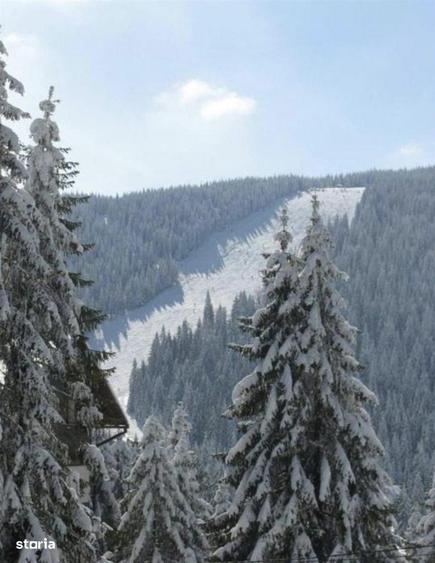 Cabana in Arieseni - 7