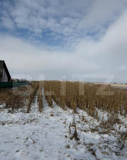 Teren Extravilan 33,6 ari, Zona Frumoasa, Scheia. - 5