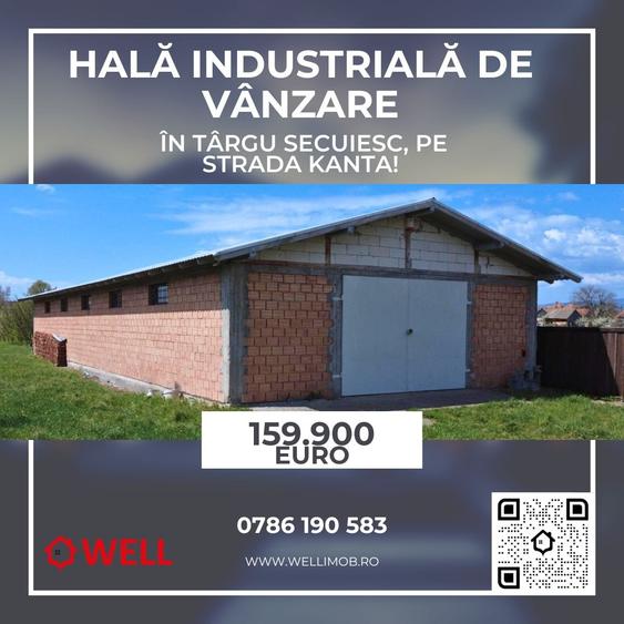 Hală industrială de vânzare în Târgu Secuiesc, pe strada Kanta! - 1