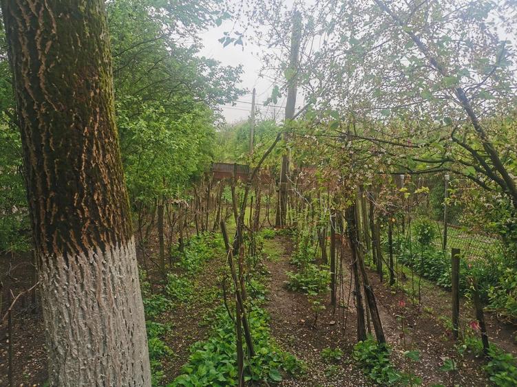 Casa de vanzare in sat Merisani Com Babaita /Teleroman - 3