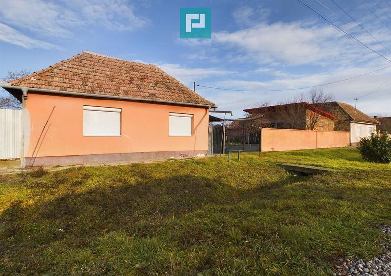 Casa cu teren generos, Turnu - 18