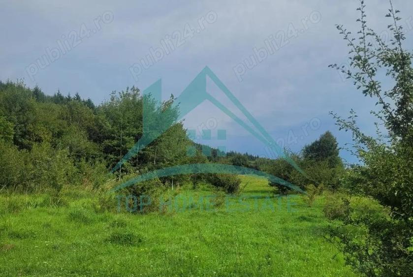 Teren pentru cabana pensiune zona Lac Micesti! - 3