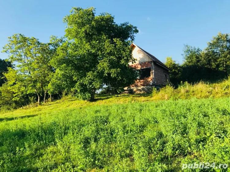 casa de vacanta 60km de Timisoara - 3