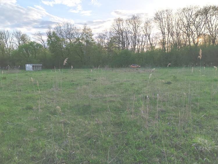 Teren ideal pentru casa de vacanta sau locuinta permanenta, la marginea padurii - 3