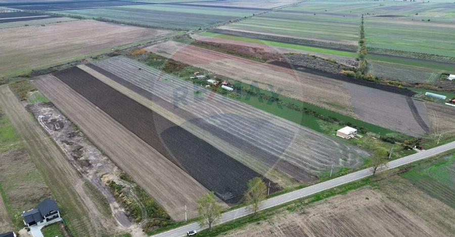 Teren intravilan 10869mp Mircestii Vechi / DJ 204E - 2