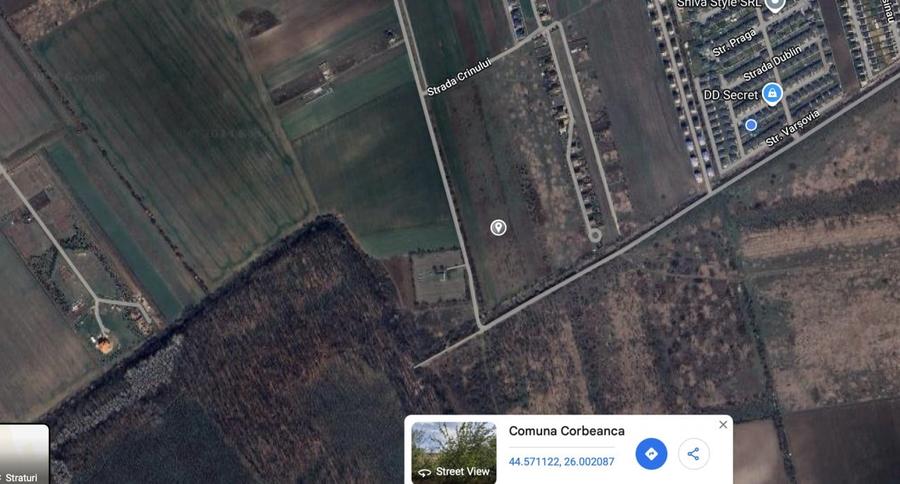 TEREN INTRAVILAN |  1000 mp | CORBEANCA | TAMASI | PADURE | - 5