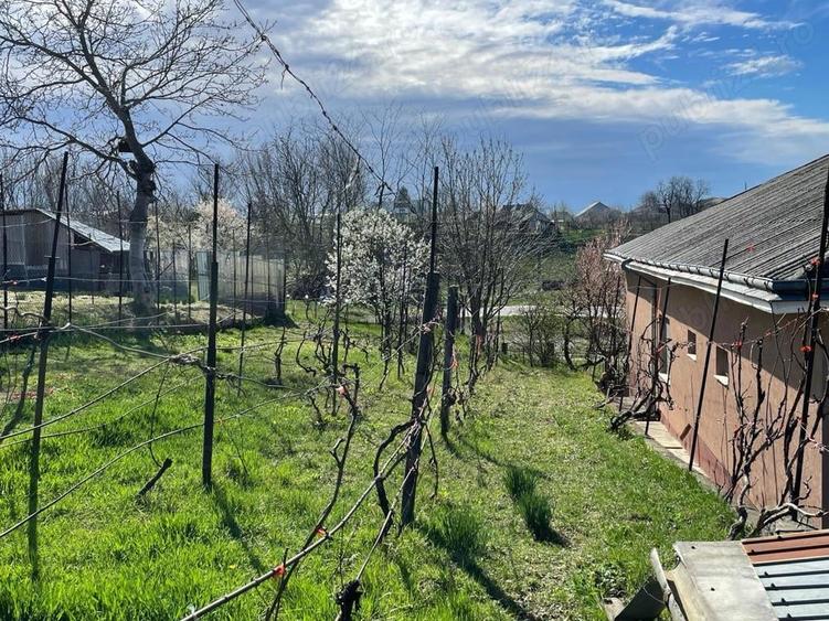Casă cu 3 camere cu Teren 800 Mp în Hălăucești