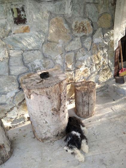 Vand casa la munte - 5