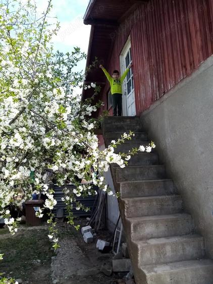 Casa de vanzare in com Brazi sat pope?ti jude?ul Prahova - 1