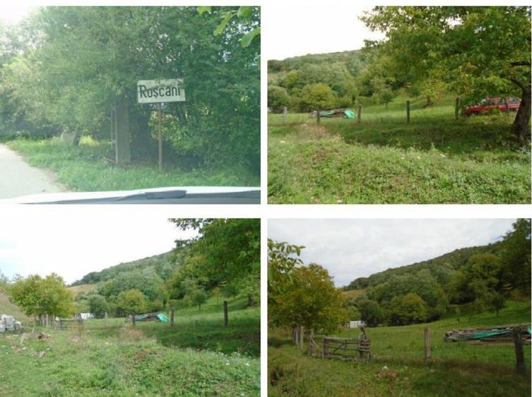 Teren extravilan-Loc. Roscani, comuna Dobra, judetul Hune... - 9