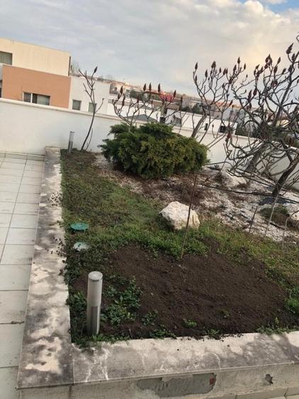 Iancu Nicolae: Apartament 3 camere cladire boutique cu piscina si terasa proprie - 1