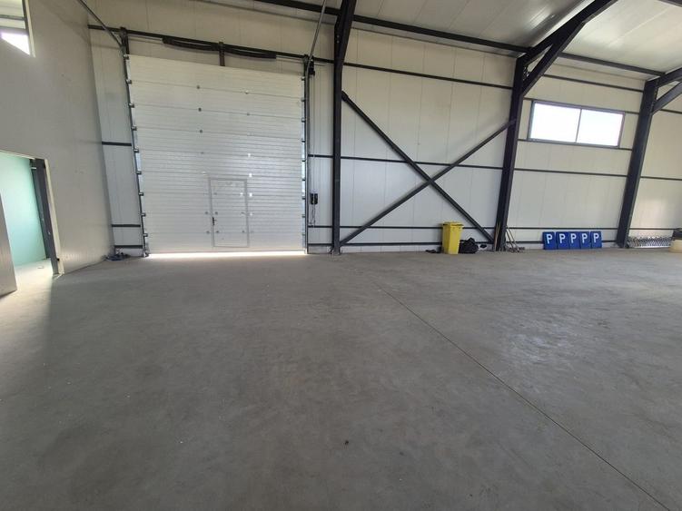 Parc Logistic Nou 2025 – Hale de Vanzare de 600 mp în Chitila-Rudeni - 10