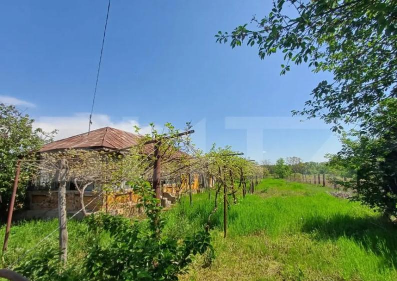 Teren de vanzare, 7300 mp, zona Danesti - 1