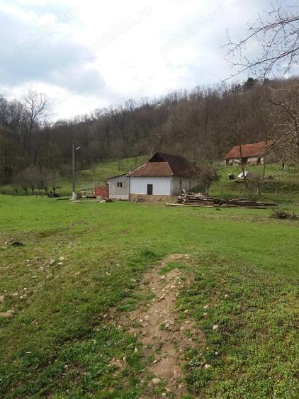 Casa cu teren foarte mare in Halmagiu - 8