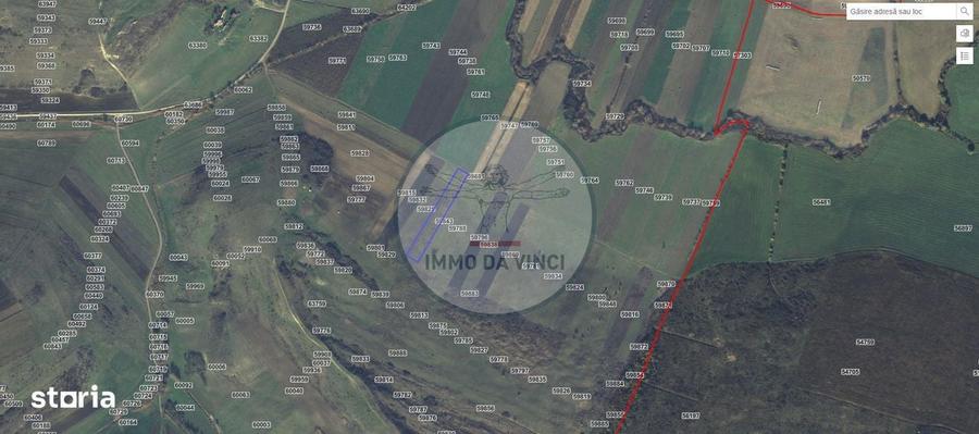 Pachet investitie terenuri Bor?a Cluj 37.839 mp | 12.039 mp intravilan - 8