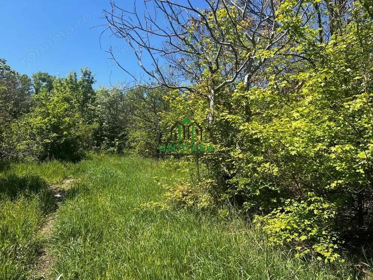 Teren intravilan/934 mp/Lenin Sud - 5