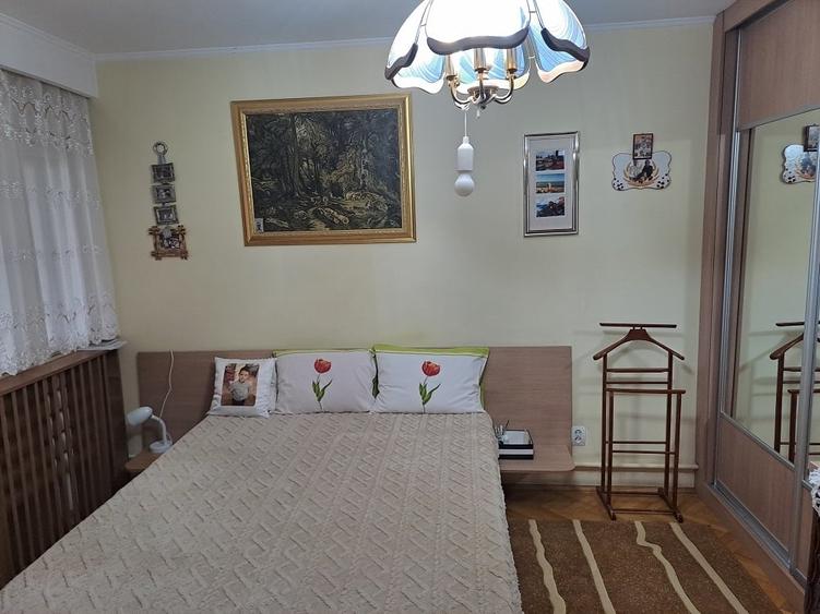 Industriilor Hala Laminor, singur curte, libera - 17