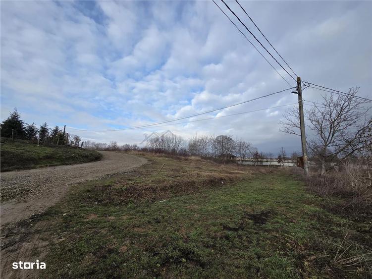 Teren intravilan,dublu front,Paleu,Oradea,Bihor - 5