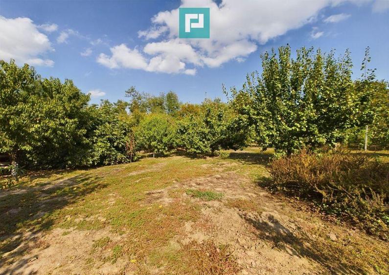 Casa cu teren 2877 mp, ora?ul Ineu - 5