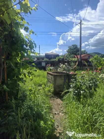 CASA DE VANZARE CU LIVADA ,FANTANA PROPRIE ,LA STR PRINCIPAL - 3