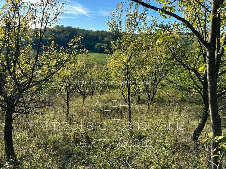 Teren intravilan in Fetindia