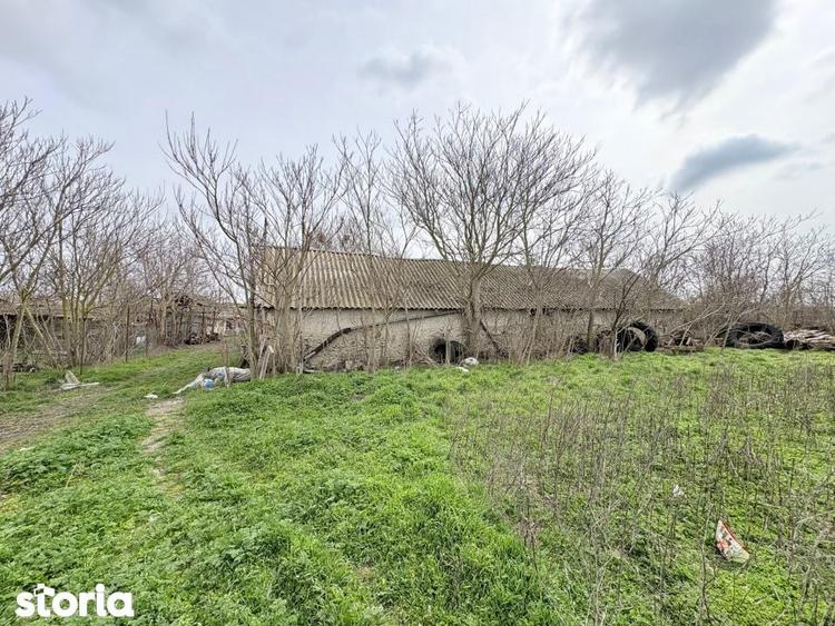 Ferma de vanzare , Loc Nistoresti Jud Constanta - 8
