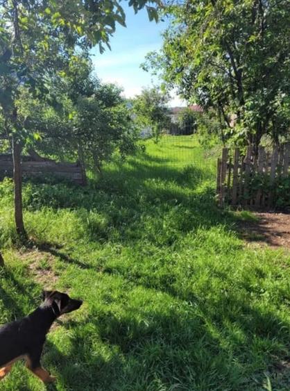 Teren investitie zona Primarie Avram Iancu Floresti - 1