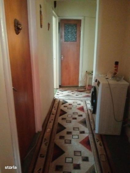 Apartament 3 camere decomandat Parc Dr Taberei - 5