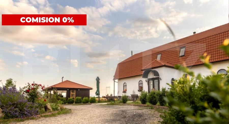 Conac de vanzare 7 camere cu bai proprii, crama, ciubar si potential - 1