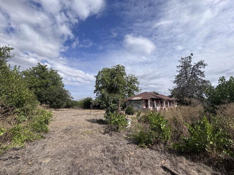 Casa batraneasca de vanzare in com.Ghimpati, Giurgiu (30 min de Buc) - 3