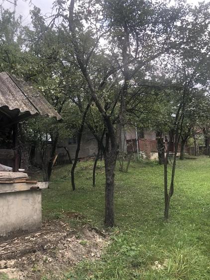 Casa batraneasca de vanzare in satul Martanus, Jud. Covasna - 7