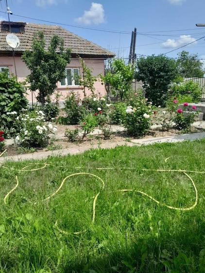 Casa de vanzare- Cobadin- Jud. Constanta- Teren 2200 mp - 4