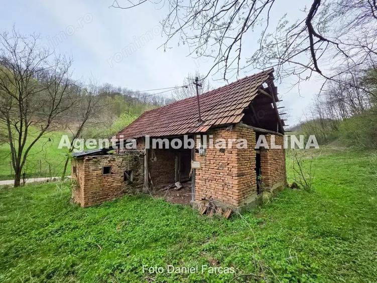 Teren intravilan 1.700 mp + 6.600 mp Padure de foioase + 1.200 mp Padure de foioase, Sat Nojag. - 7