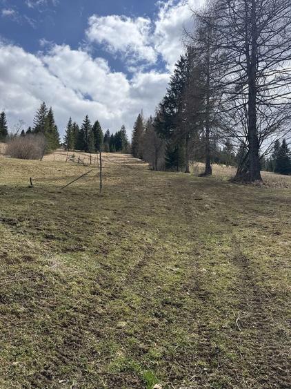 Teren rarau 10 min de partie extravilan parcela de jumatate 5600mp - 6