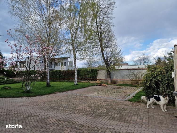 Buftea teren pe colt cu dubla deschidere 500 mp AConstruire P+E - 8