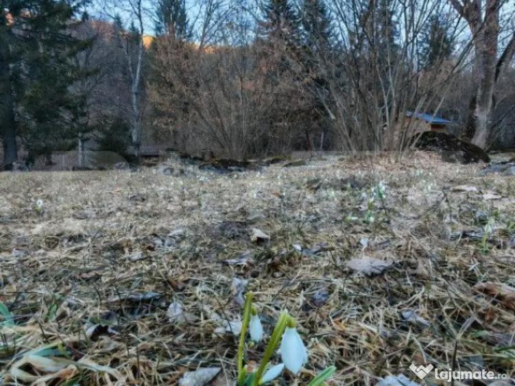 Casa de vacanta de vanzare in Rasnov - Brasov - 5