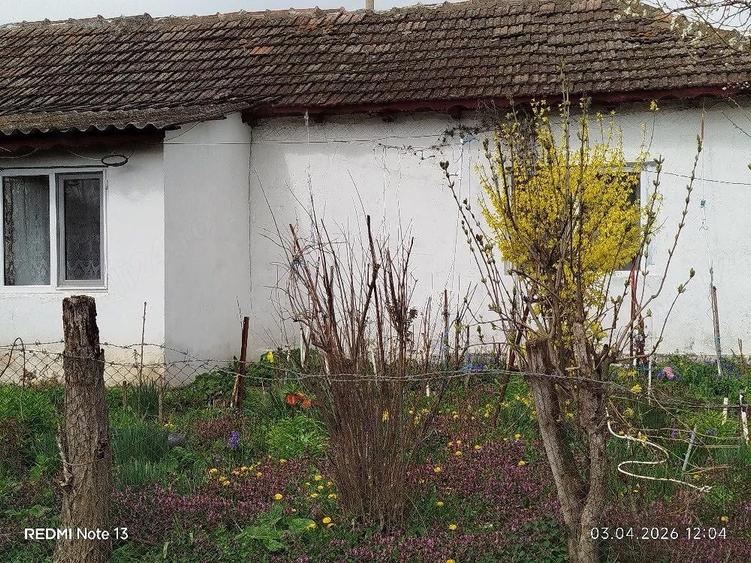 vanzare casa ?i teren la ?ara - 8