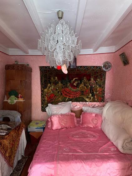 casa vacanza Iepuresti(Giurgiu) - 9