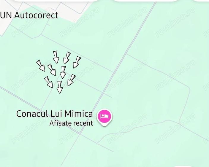 Teren Cornetu langa padure - 1