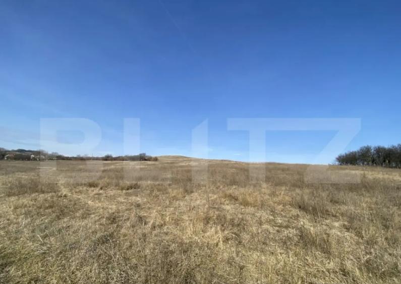 Teren extravilan in suprafata de 140551 mp in loc. Recea - 7