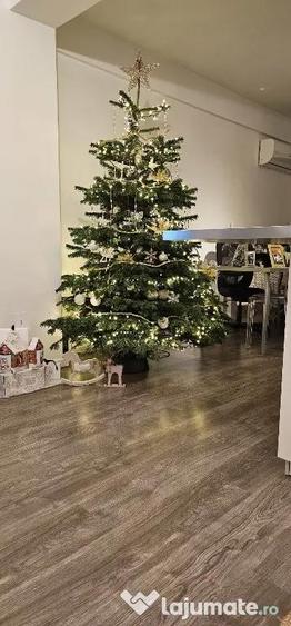 Apartament modern 2 camere, complet echipat, Damaroaia - 18