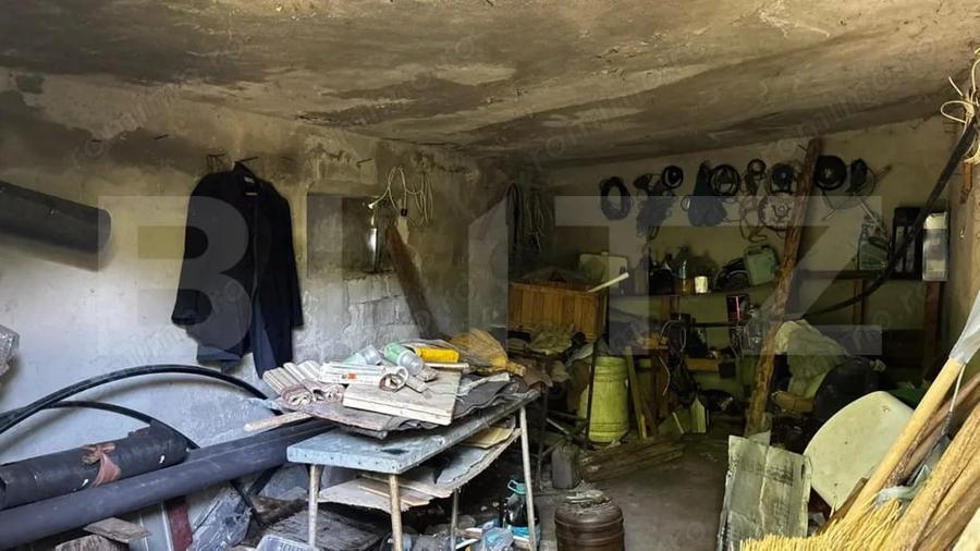 Proprietate cu 2 case, 3.345 mp teren, Balota de Jos, comuna Murga?i - 16