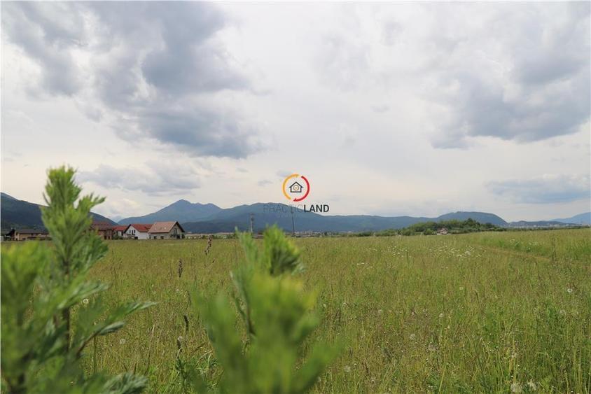 teren  intravilan13100 mp pentru dezvoltare imobiliara - 5