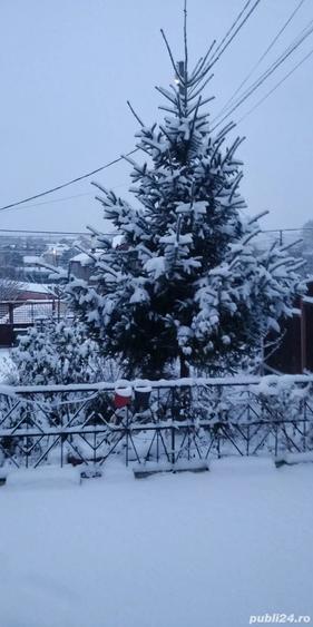 Vand casa in Bucium Ia?i - 3