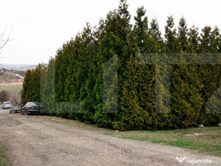 Teren 7088 mp in Borhanci achizi?ie integrala sau sep - 7