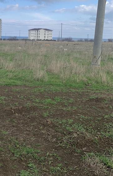 Teren NIBIRU/Beach Please, la 300m de plaja, bransat la UTILITATI - 7