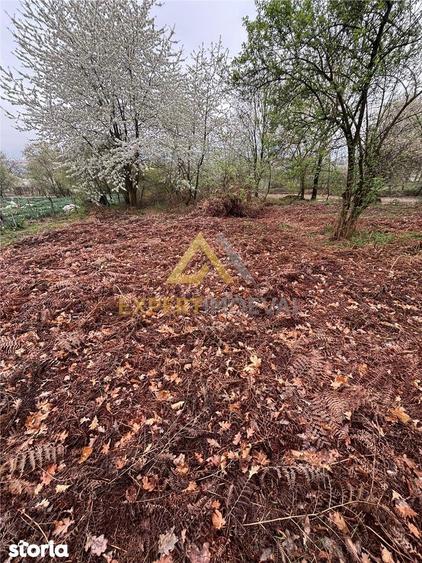 Teren intravilan in spate la Castel Transilvania 1.000mp - 8